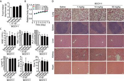 A Novel Anti-Infective Peptide BCCY-1 With Immunomodulatory Activities